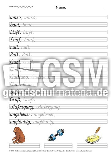 DSS_2S_Bu_u_Nr_08.pdf